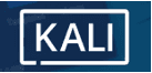 Kali-Partner logo